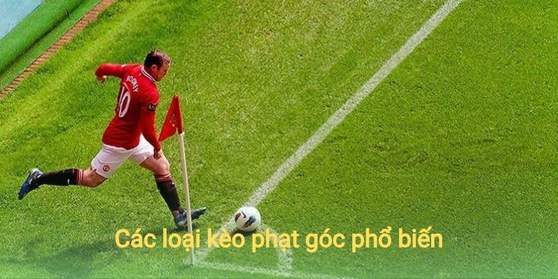 Các loại kèo phạt góc phổ biến