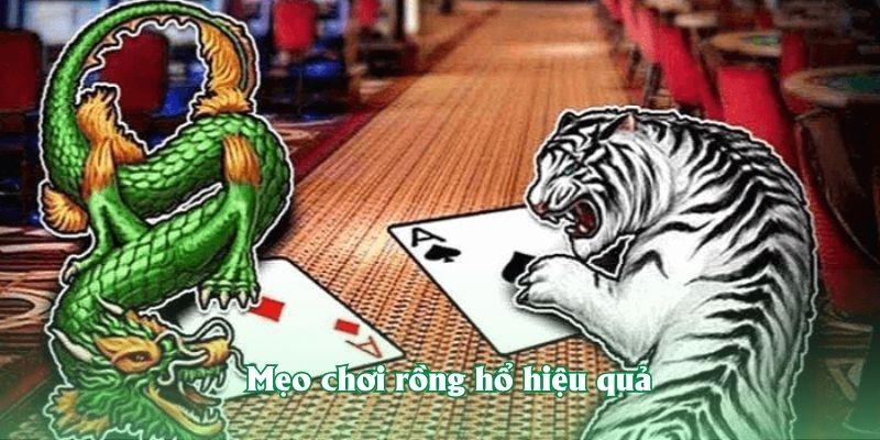 Mẹo chơi rồng hổ hiệu quả