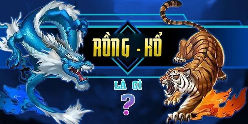 Tổng quan về rồng hổ