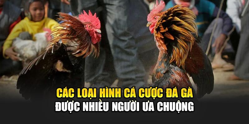 Săn thưởng khủng với Đá Gà 32 win