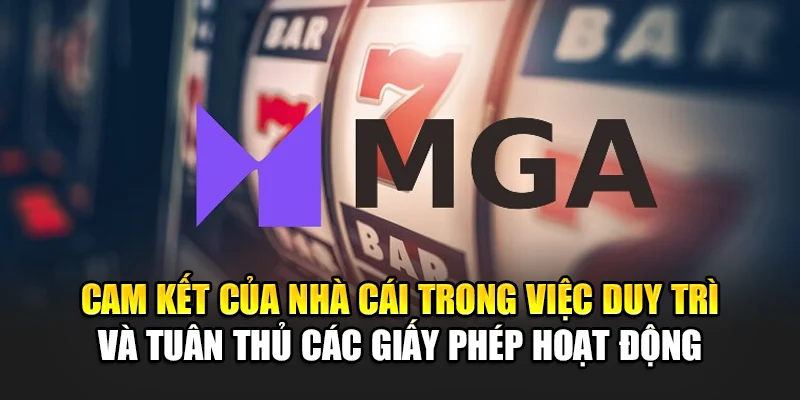 Cam kết chất lượng lâu dài